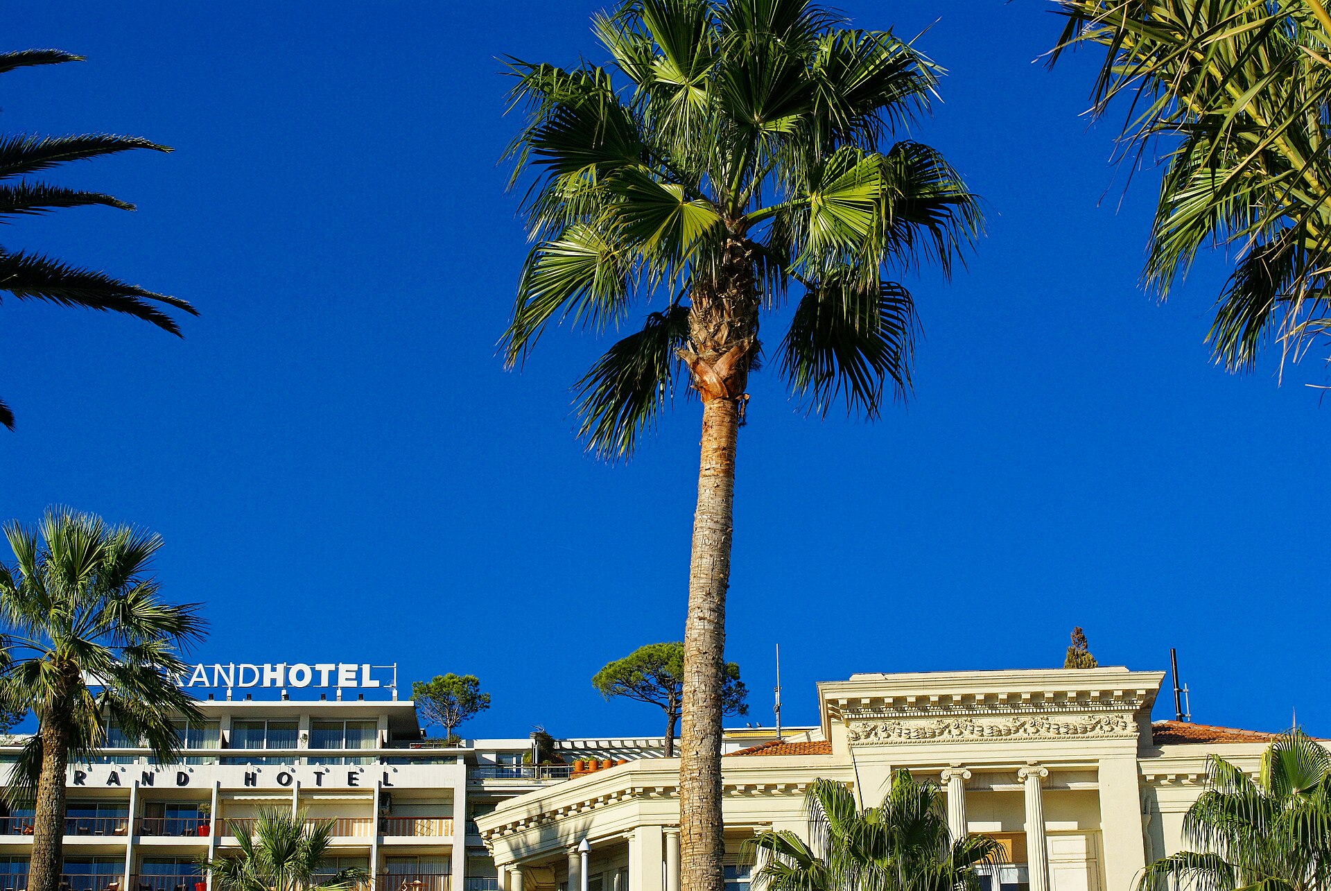 Le boulevard de la Croisette à Cannes, axe saturé pendant les salons
